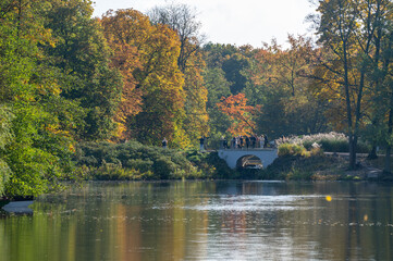 autumn in the park