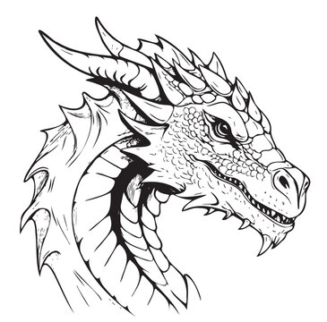 Dragon head cartoon hand drawn sketch Vector Wild animals
