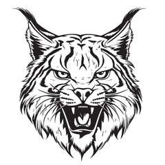 Angry lynx sketch hand drawn sketch Vector