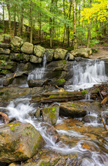 Fototapeta na wymiar Small waterfalls in the woods