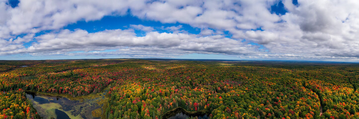Horizontal Landscape Autumn Forest