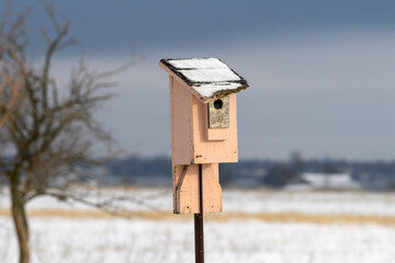 A single birdhouse in winter