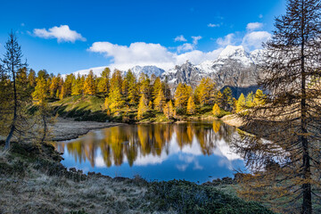 Riflessi autunnali al Devero