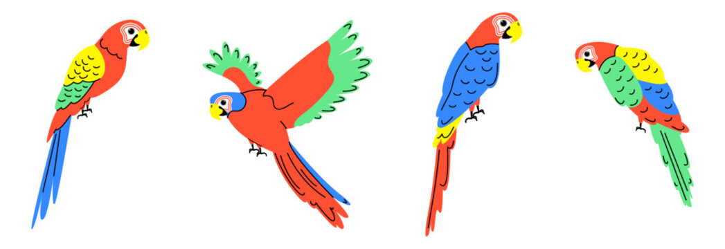 Colorful set with parrots in flat style. Vector illustration of cute parrot characters.