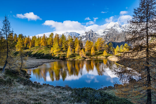Riflessi autunnali al Devero
