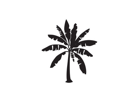 banana tree icon silhouette, vector image