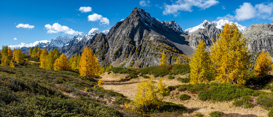 Panoramica autunnale al Devero