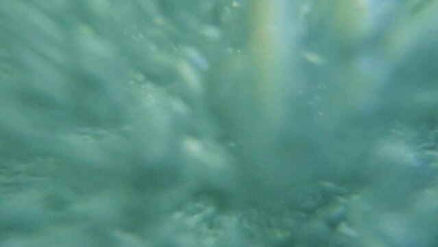 A small river flowing fast through a wild rocky valley. A turbulent roll on a mountain river. The stream is foaming. The camera moves down and dives into the water. Underwater shooting