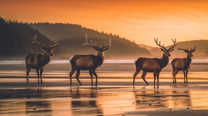 Fototapeta na wymiar The Mighty Elk: Exploring the Magnificent World of Majestic Antlered Giants