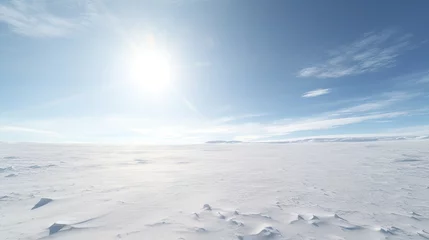 Zelfklevend Fotobehang Snowy desert terrain on a sunny day. Illustration for cover, card, postcard, interior design, brochure or presentation. © Login