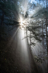Seasonal natural scene, Sulov rocks, Slovakia