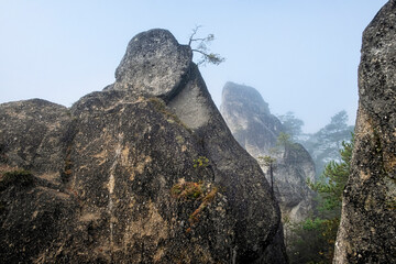 Seasonal natural scene, Sulov rocks, Slovakia