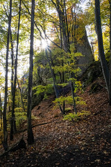 Seasonal natural scene, Sulov rocks, Slovakia