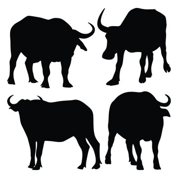 Vector animal buffalo silhouettes vector illustration