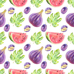 Hand drawn watercolor fruit pattern with fig, watermelon and plums on the white background. Seamless fruit pattern.