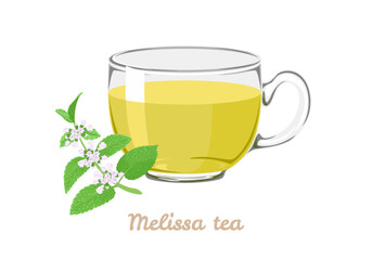 Melissa tea (lemon balm) in transparent glass cup. Vector cartoon illustration of herbal tea.