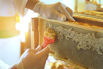 The beekeeper uses a special fork to print honeycombs.