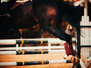 A dark horse jump over a barrier. The equestrian sports, the agility and strength of horses. The...