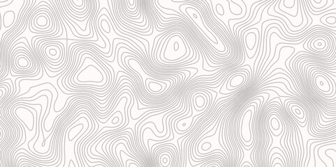 Topographic map in contour line light topographic topo contour map and ocean topographic line map with curvy wave isolines vector and Topographic map background concept.