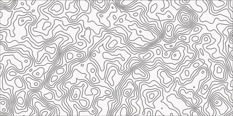 Topographic map in contour line light topographic topo contour map and ocean topographic line map and Topographic map background concept.
