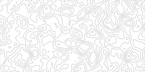 Topographic map in contour line light topographic topo contour map and ocean topographic line map with curvy wave isolines vector and Topographic map background concept.
