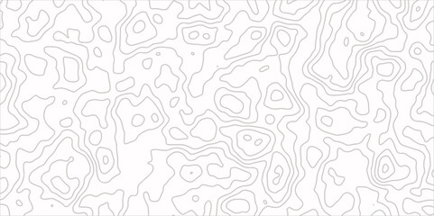 Topographic map in contour line light topographic topo contour map and ocean topographic line map with curvy wave isolines vector and Topographic map background concept.