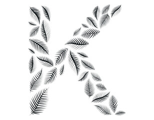 Floral alphabet. Vector isolated black and white Letter K decorated with elegant leaves, sketch style.