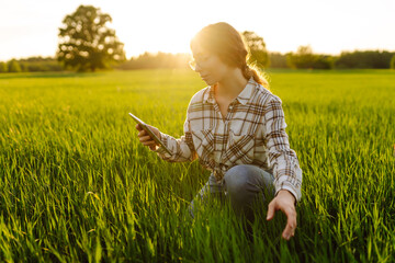 Young woman agronomist works on a modern digital tablet on a green wheat field. A senior woman...