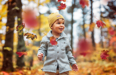 two year old little boy posing in autumn park