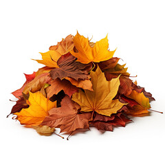 Pile of autumn leaves isolated on transparent or white background