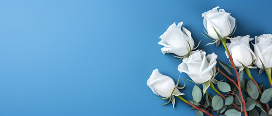 minimalist dark blue background with roses, top view with empty copy space