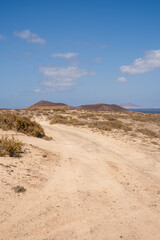 Desert landscape of white sand and desert bushes. Ocean and Famara cliff in the background. Dirt track. Sky with big white clouds. Lanzarote, Canary Islands, Spain.