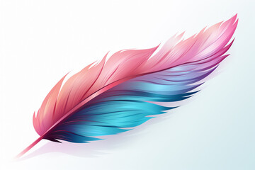 Pink and blue feather on white background