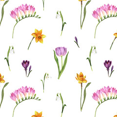 Seamless pattern of spring flowers hand drawn in watercolor. Floral elements on a white background for creating postcards, patterns and packaging