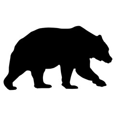 Walking bear silhouette shape. The male Ursus arctos is walking to the right.