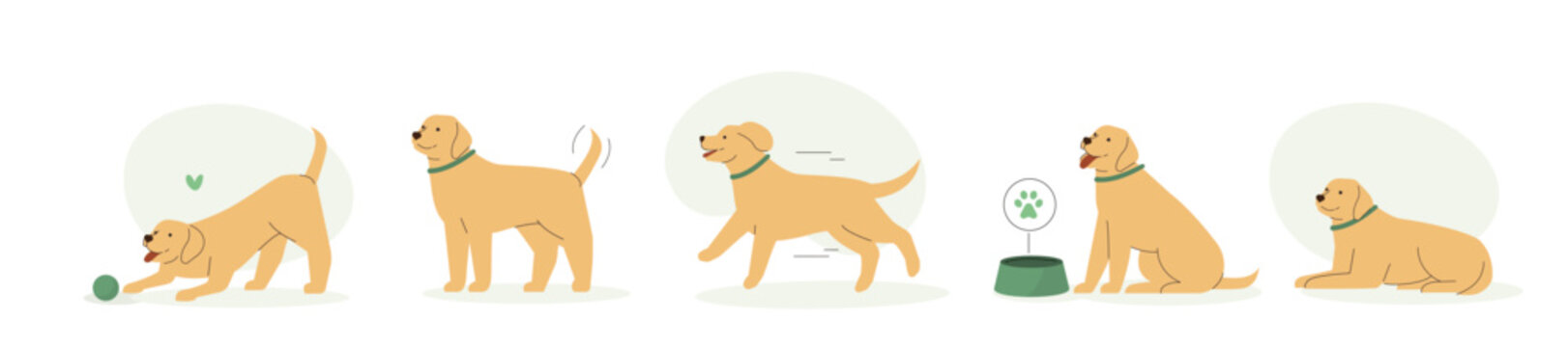 Cute dog or puppy chasing a ball, lying, plying and running. Adorable retriever daily activity, different emotions and behavior. Funny animal set. Pet care concept. Flat vector illustration. 
