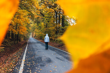 Young man in hoodie walking on street with autumn tree foliage