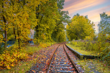 Fototapeta na wymiar Abandoned railway autumn view in Berlin