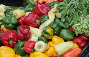 various colorful fruits of sweet pepper as tasty vegetables