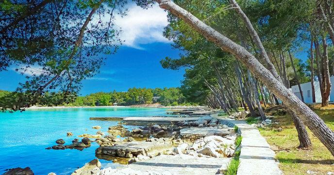 View on bay at adriatic sea with rock beach, pine trees and path against blue summer sky - Crvena Luka between Biograd and Pakostane, Croatia (focus on rocks in foreground)