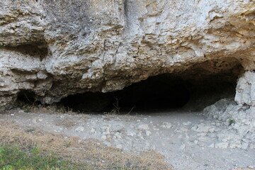 A black snake under a rock