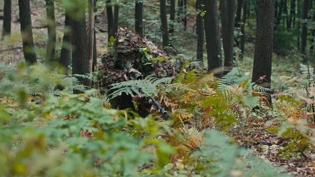 The Camouflaged Sniper Rises from the Ground and Walks Through the Woods