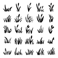 grass; vector; natural; season; element; green; flora; plant; floral; garden; background; bush; collection; fresh; illustration; lawn; botany; nature; isolated; spring; landscape; field; shape; lush; 