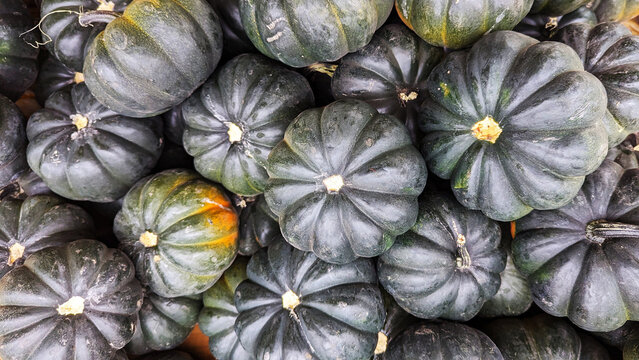 Top Down Black Pumpkins at Farmers Market, Pumpkin Close Up Photography