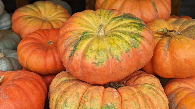 Halloween Pumpkins on a Market, Close-Up Pumpkin Photography