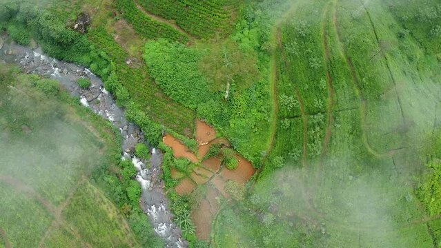 Green aerial Views: Exploring the Tea Fields of Nuwara Eliya, Sri Lanka