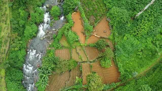 Green aerial Views: Exploring the Tea Fields of Nuwara Eliya, Sri Lanka