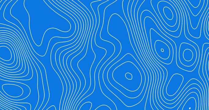 Moving white color thin curved wavy lines topology on a blue color background. moving topographic map lines seamless looped animation.