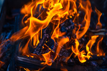 Burning wood chips to form coal. Barbecue preparation, fire before cooking.