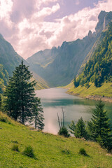 Nestled within a tranquil landscape, the lake unfolds like a liquid mirror reflecting the surrounding world.